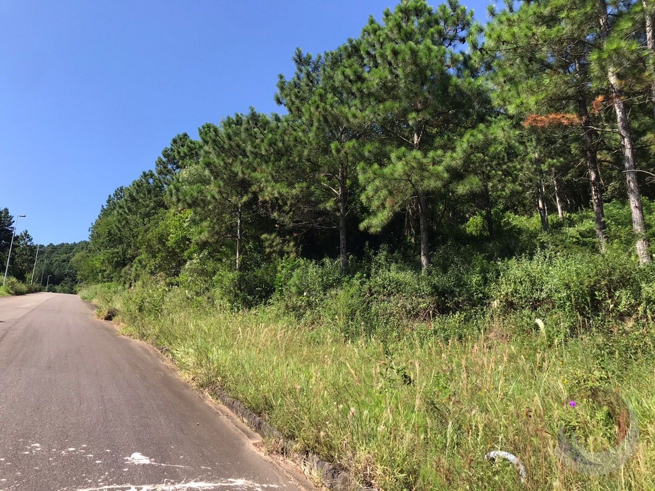 WhatsApp Image 2024-02-08 at 10.13