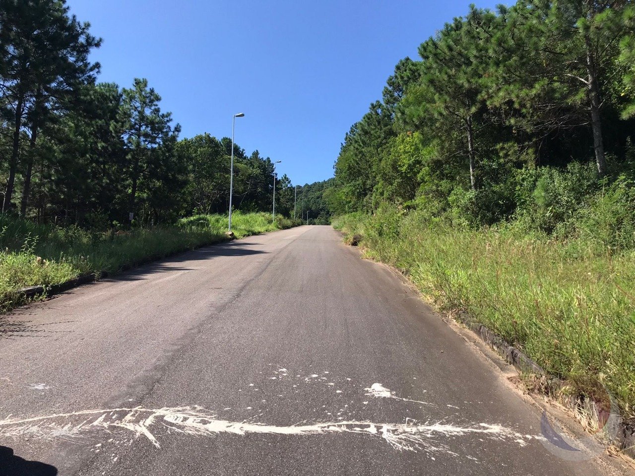 WhatsApp Image 2024-02-08 at 10.13