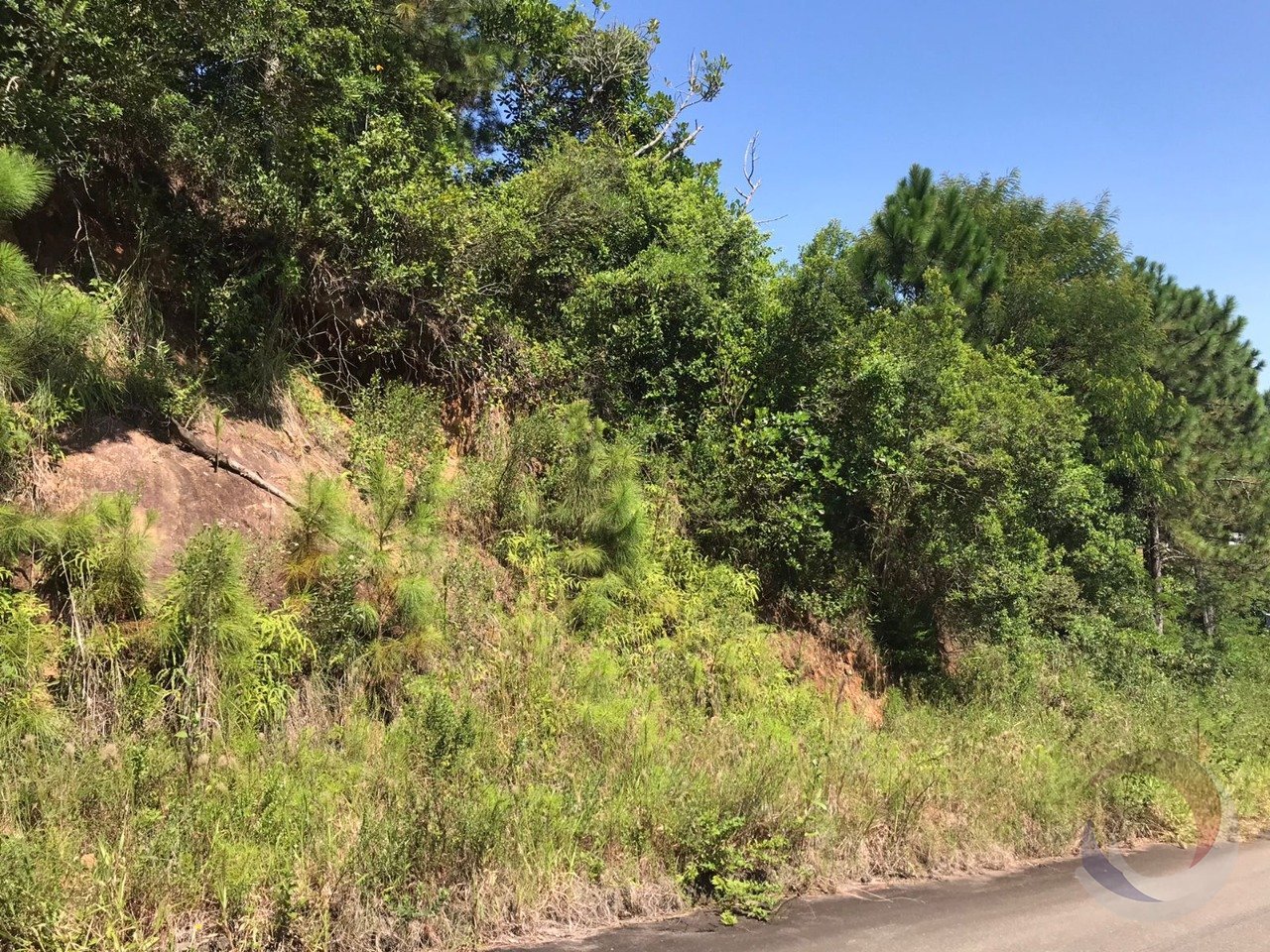 WhatsApp Image 2024-02-08 at 10.13