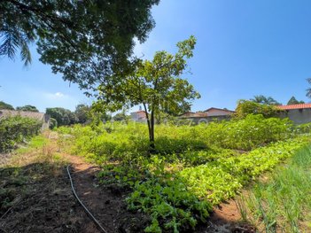 land_lot em Doutor Lauro Corrêa da Silva, Jardim do Lago - Limeira - SP