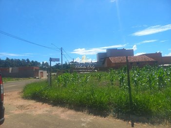 land_lot em Rodovia Candido Portinari, Jardim Primavera - Cristais Paulista - SP