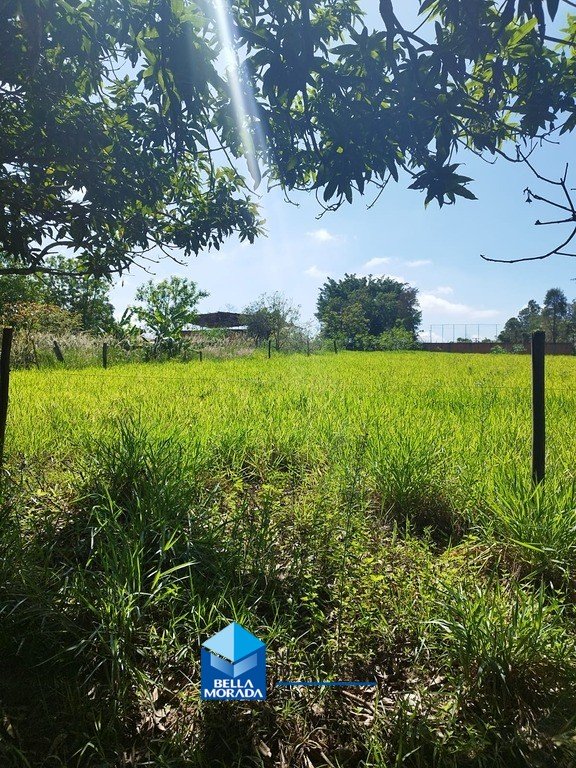 image-0