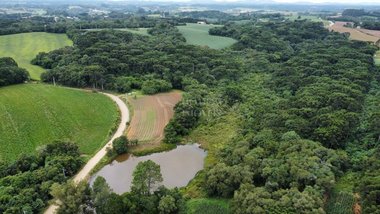 land_lot em Avenida Pedro Euzébio Lemos, Tietê - Araucária - PR