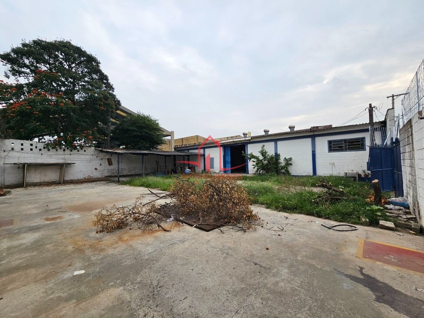 image-1