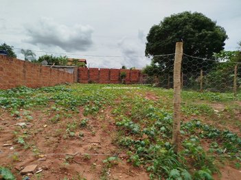 land_lot em Guilherme de Almeida, Nova Lima - Campo Grande - MS