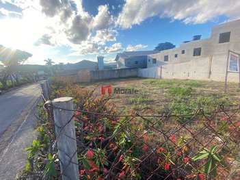 land_lot em Domingos Viotti, Santa Amélia - Belo Horizonte - MG
