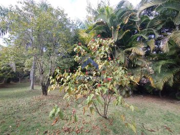 commercial_building em Rua Edgard Pereira Vianna, Chácaras Cataguá - Taubaté - SP