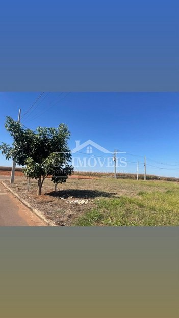 land_lot em Avenida Leonel Bedin, Cidade Nova - Sorriso - MT