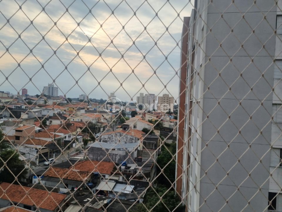 d69a09c2-fbcb-498d-8914-2879164d5311.jpeg