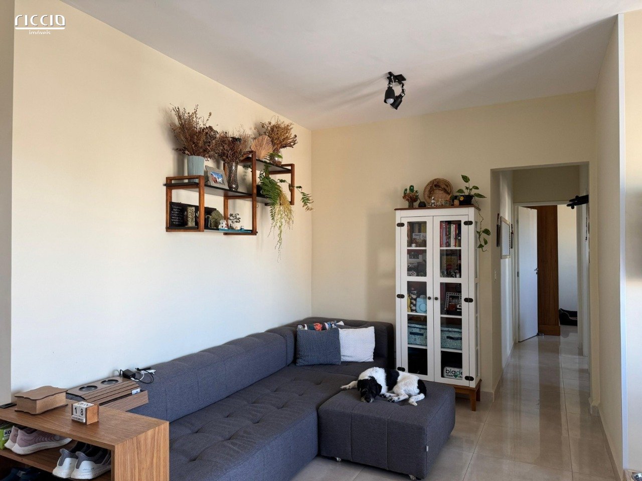 WhatsApp Image 2025-10-29 at 11.28