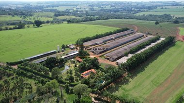 agricultural em Área Rural, Área Rural de Artur Nogueira - Artur Nogueira - SP