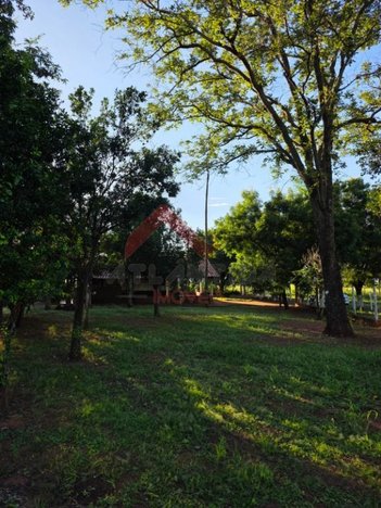 agricultural em Área Rural, Área Rural de Andradina - Andradina - SP