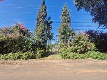 agricultural em Avenida Armando de Salles Oliveira, Centro - Piracicaba - SP