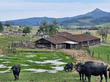 agricultural em Estrada Geral Campinas, Campina - Mirim Doce - SC