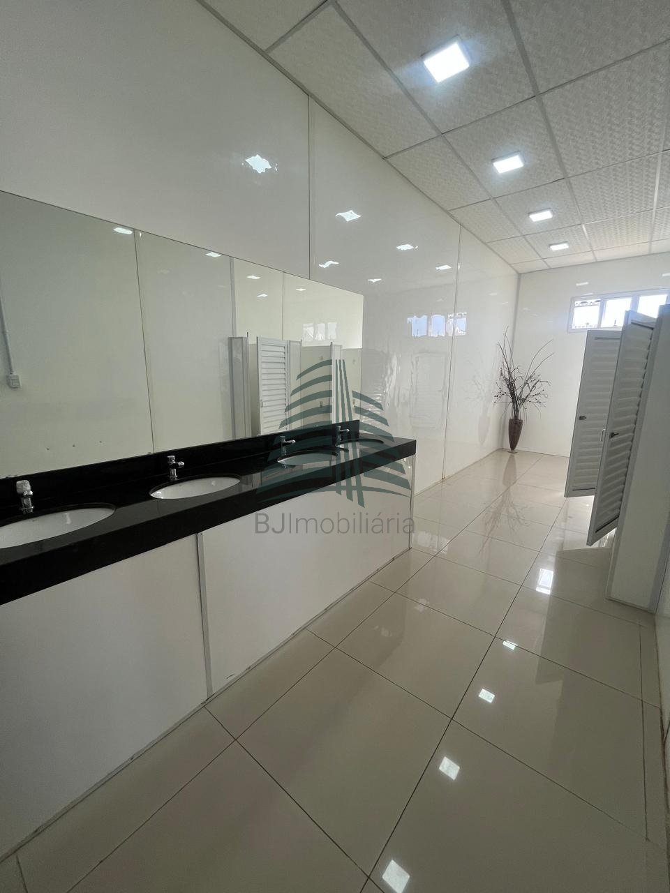 WhatsApp Image 2025-01-29 at 14.59