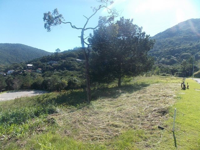 Foto 04