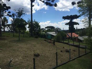 land_lot em Madepinho, Maggi - Canela - RS