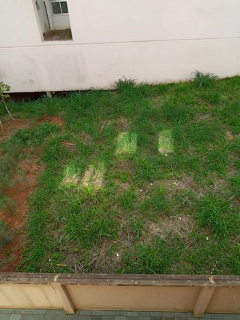 land_lot em Rua Afonso Senna, Vale Verde - Ponte Nova - MG