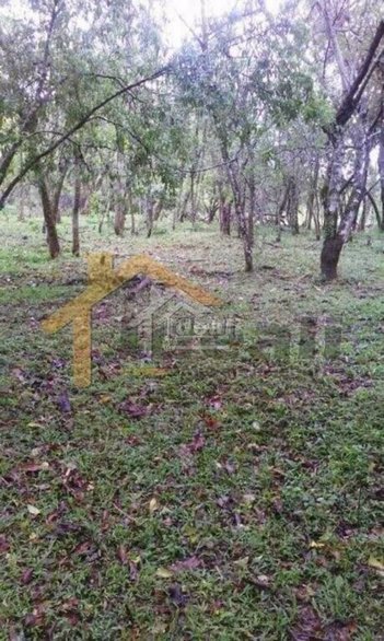 land_lot em Rodovia Teixeirinha, Neópolis - Gravataí - RS