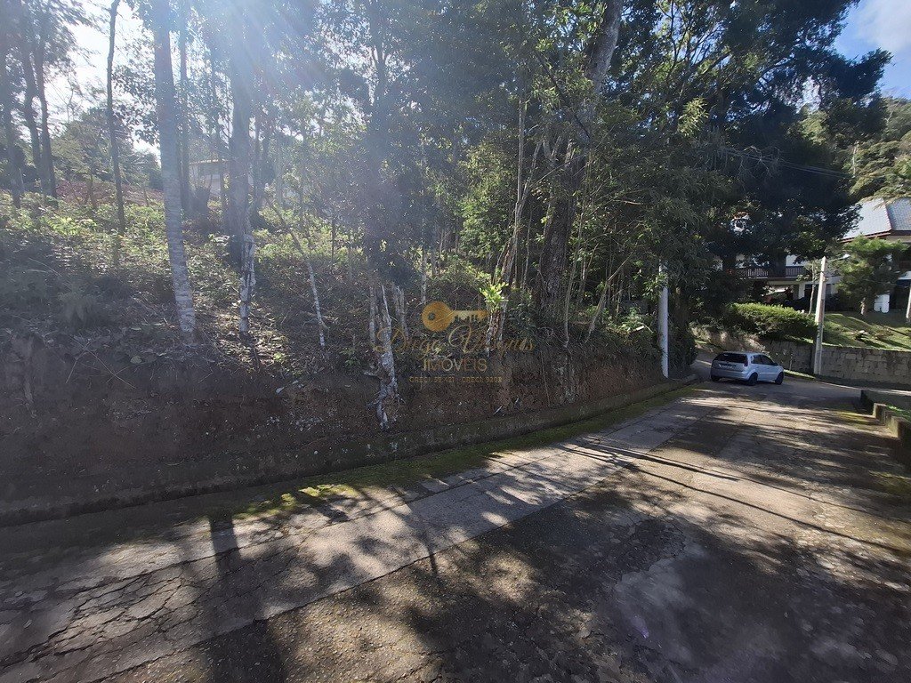 202505311801569479.jpg