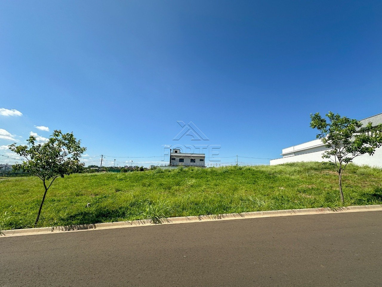image-0