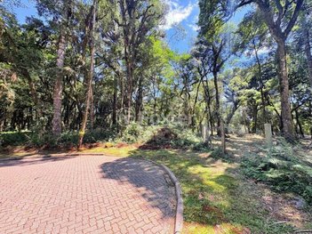 land_lot em Rodovia ERS-466, Pinheiro Grosso - Canela - RS