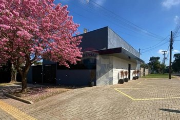 house em Rua dos Crisântemos, Bourbon - Foz do Iguaçu - PR