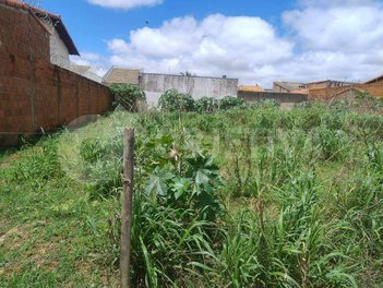 land_lot em Rua Pedro Pereira da Silva, Minas Gerais - Uberlândia - MG