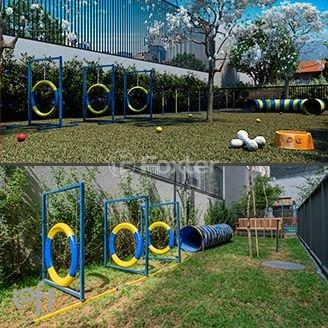 dog-park-com-playground-para-caes