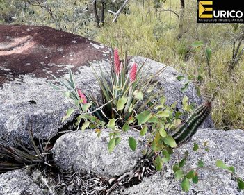 land_lot em Alameda das Ponkans, Parque Valinhos - Valinhos - SP