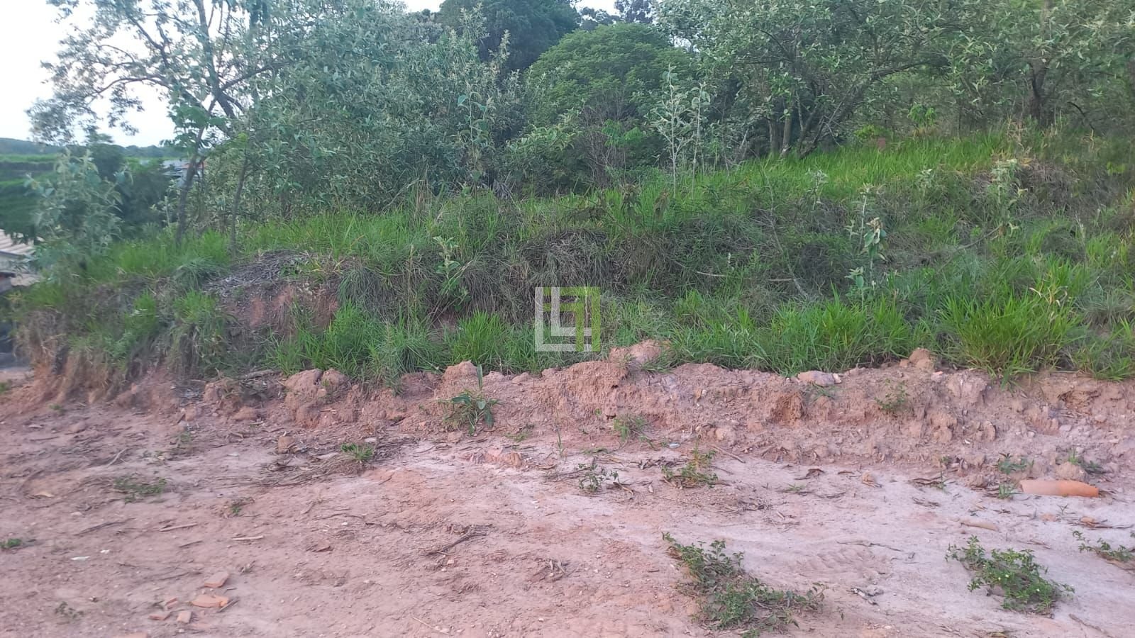 | Foto_migracao | 0