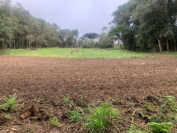 land_lot em Área Rural, Área Rural de Fazenda Rio Grande - Fazenda Rio Grande - PR