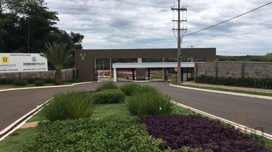 land_lot em Avenida Rio Branco, Zona 01 - Cianorte - PR
