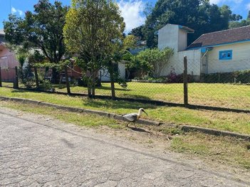 land_lot em Caixa Econômica Esq. Com a Rua Reomildo Domingos w, Bexiga - Rio Pardo - RS