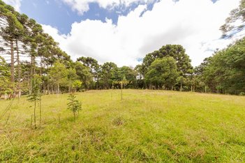 land_lot em Rua Maximiniano Betinardi, Roseira - Colombo - PR