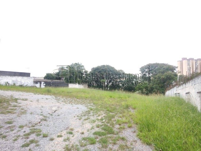 whatsapp-image-2025-04-29-at-13-38-31-11748372916193