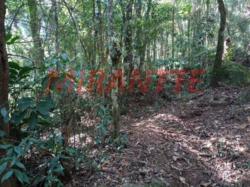 land_lot em Rua das Jabuticabeiras, Cidade Jardim - São Paulo - SP