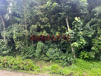 land_lot em Rua Princesa de Grã-Pará, Roseira - Mairiporã - SP