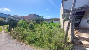 land_lot em Ozorio Jose Martins, Campo Novo - Porto Alegre - RS