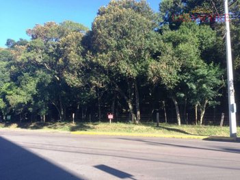 land_lot em Rua João Vergani, Cruzeiro - Caxias do Sul - RS