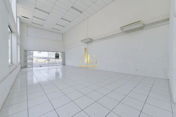 business em Avenida Icaraí, Cristal - Porto Alegre - RS