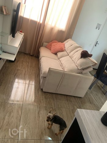apartment em Salvador Dali, Jardim Apurá - São Paulo - SP