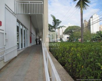 office em Avenida Orosimbo Maia, Centro - Campinas - SP