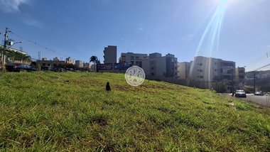 commercial_land_lot em Rua Paschoal Bardaro, Jardim Botânico - Ribeirão Preto - SP