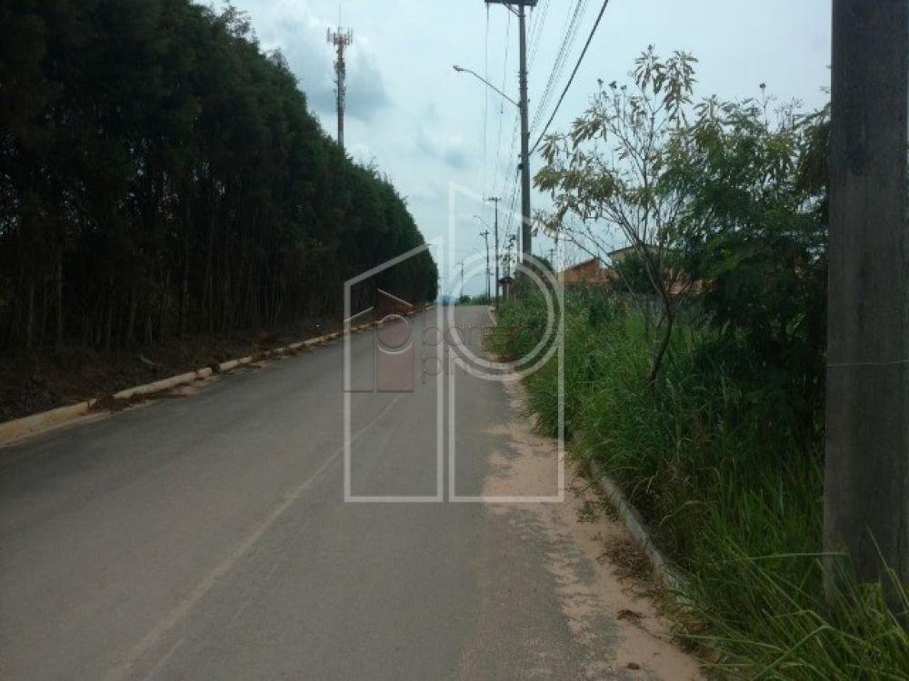 image-0