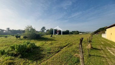 land_lot em Avenida João Francisco da Silva, Feital - Pindamonhangaba - SP