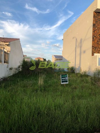 land_lot em Um, Areal - Pelotas - RS