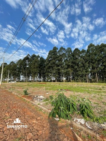 land_lot em Rua dos Pintassilgos, Cruzeiro - Santa Rosa - RS