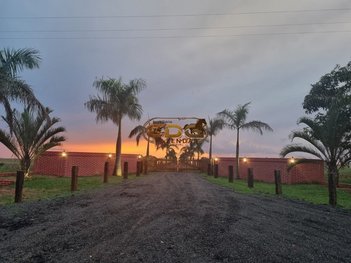 agricultural em Área Rural, Área Rural de Paranavaí - Paranavaí - PR