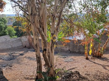 land_lot em Rua Açores, Ermelinda - Belo Horizonte - MG